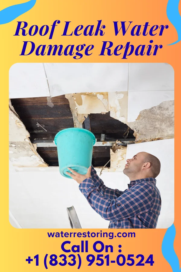 Roof Leak Water Damage Repair in Tony, WI